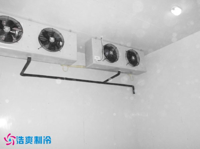 建造-30~-80℃超低溫血漿蛋白冷凍庫需要花費多少價格？