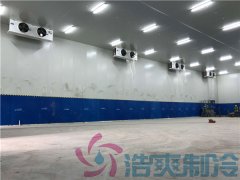  藥廠建造-20℃血漿醫(yī)藥冷庫，血漿醫(yī)藥冷庫安裝定制預(yù)算是多少？